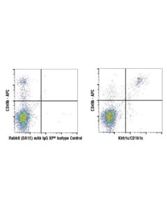 Cell Signaling Klrb1c/Cd161c (E6y9g) Rabbit mAb
