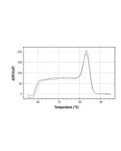 Cell Signaling Simplechip Mouse Cxcl2 Promoter Primers