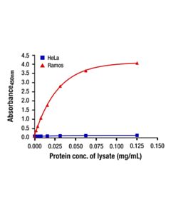 Cell Signaling Total Btk Matched Antibody Pair