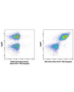 Cell Signaling G4s Linker (E7o2v) Rabbit mAb (Alexa Fluor ® 700 Conjugate)