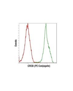 Cell Signaling Creb (48h2) Rabbit mAb (Pe Conjugate)
