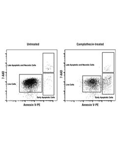 Cell Signaling Annexin V-Pe Early Apoptosis Detection Kit