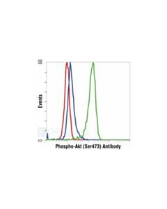 Cell Signaling Phospho-Akt (Ser473) (193h12) Rabbit mAb
