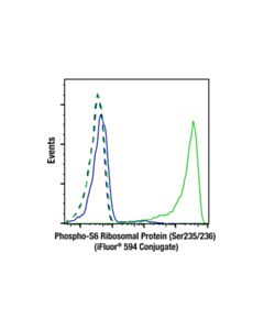 Cell Signaling Phospho-S6 Ribosomal Protein (Ser235/236) (D57.2.2e) Xp ® Rabbit mAb (Ifluor ® 594 Conjugate)