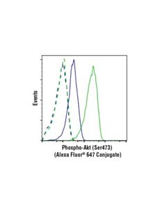 Cell Signaling Phospho-Akt (Ser473) (D9e) Xp Rabbit mAb (Alexa Fluor 647 Conjugate)