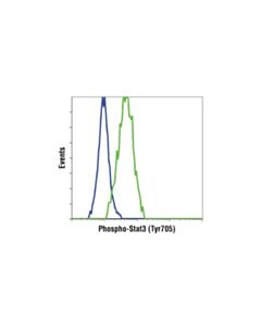 Cell Signaling Phospho-Stat3 (Tyr705) (M9c6) Mouse mAb