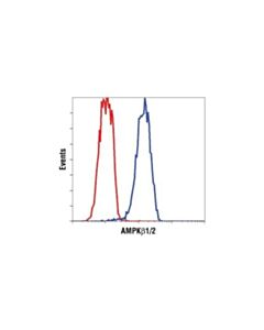 Cell Signaling Ampkbeta1/2 (57c12) Rabbit mAb