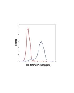 Cell Signaling P38 Mapk (D13e1) Xp Rabbit mAb (PE Conjugate)