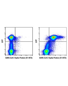Cell Signaling Sars-Cov-2 Spike Protein (S1-Ntd) (E7m5x) Mouse mAb