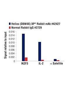 Cell Signaling Helios (D8w4x) Xp Rabbit mAb