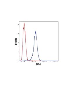 Cell Signaling Dr4 (D9s1r) Rabbit mAb