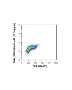 Cell Signaling Cdk4 (D9g3e) Rabbit mAb (PE Conjugate)