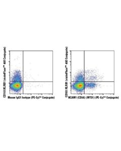 Cell Signaling Ncam1 (Cd56) (My31) Mouse mAb (PE-Cy7 Conjugate)