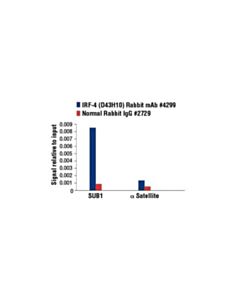 Cell Signaling Irf-4 (D43h10) Rabbit mAb