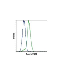 Cell Signaling Tuberin/Tsc2 (D93f12) Xp Rabbit mAb