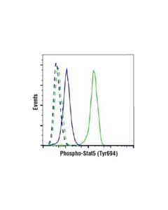 Cell Signaling Phospho-Stat5 (Tyr694) (D47e7) Xp Rabbit mAb