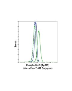 Cell Signaling Phospho-Stat3 (Tyr705) (D3A7) XP® Rabbit mAb (Alexa Fluor® 488 Conjugate); 20 µl