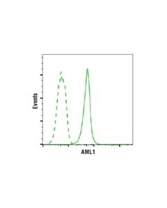 Cell Signaling Aml1 (D33g6) Xp Rabbit mAb