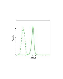 Cell Signaling Aml1 (D33g6) Xp Rabbit mAb