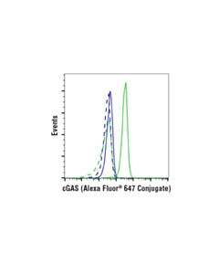 Cell Signaling Cgas (E5v3w) Rabbit mAb (Alexa Fluor 647 Conjugate)