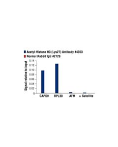 Cell Signaling Acetyl-Histone H3 (Lys27) Antibody