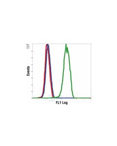 Cell Signaling Phospho-P44/42 Mapk (Erk1/2) (Thr202/Tyr204) (197g2) Rabbit mAb