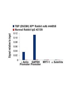Cell Signaling Tbp (D5c9h) Xp Rabbit mAb