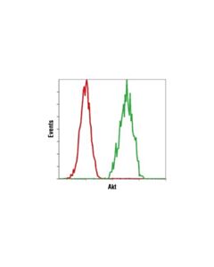 Cell Signaling Anti-Mouse Igg (H+L), F(Ab) 2 Fragment (Alexa Fluor 647 Conjugate)
