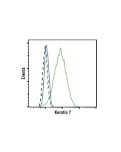 Cell Signaling Keratin 7 (D1e4) Xp Rabbit mAb