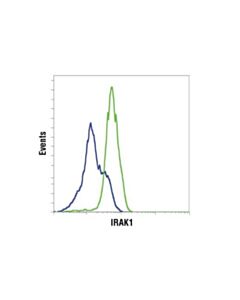 Cell Signaling Irak1 (D51g7) Rabbit mAb