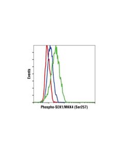 Cell Signaling Phospho-Sek1/Mkk4 (Ser257) (C36c11) Rabbit mAb