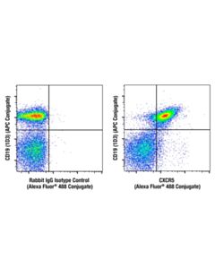 Cell Signaling CXCR5 (E3G3A) Rabbit mAb (Alexa Fluor 488 Conjugate) 100 uL