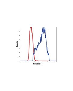Cell Signaling Keratin 17 (D73c7) Rabbit mAb