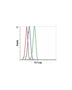 Cell Signaling Phospho-P38 Mapk (Thr180/Tyr182) (28b10) Mouse mAb (Alexa Fluor 488 Conjugate)