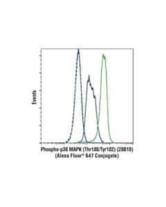 Cell Signaling Phospho-P38 Mapk (Thr180/Tyr182) (28b10) Mouse mAb (Alexa Fluor 647 Conjugate)