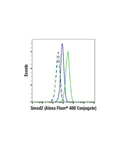 Cell Signaling Smad2 (D43b4) Xp Rabbit mAb (Alexa Fluor 488 Conjugate)