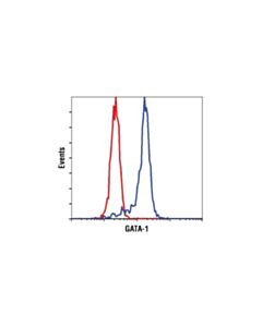 Cell Signaling Gata-1 (D24e4) Xp Rabbit mAb