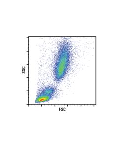 Cell Signaling Rbc Lysis Buffer (10x)
