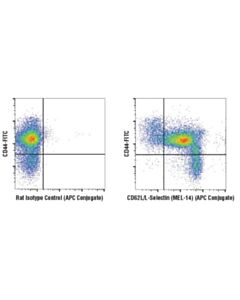 Cell Signaling Cd62l/L-Selectin (Mel-14) Rat mAb (Apc Conjugate)
