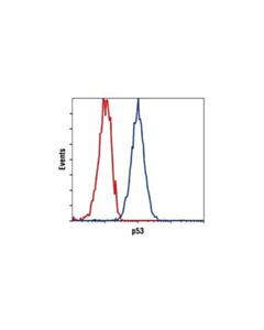 Cell Signaling P53 (7f5) Rabbit mAb (Biotinylated)
