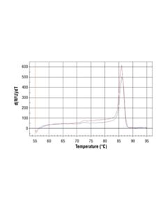 Cell Signaling Simplechip Human Cdkn1a Intron 1 Primers