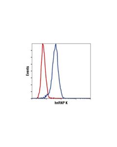 Cell Signaling Hnrnp K (R332) Antibody