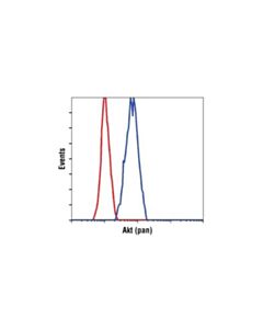 Cell Signaling Akt (Pan) (C67e7) Rabbit mAb