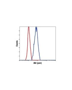 Cell Signaling Akt (Pan) (C67e7) Rabbit mAb