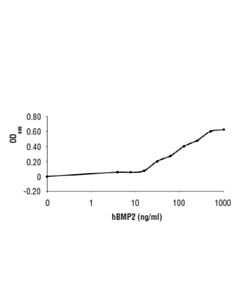 Cell Signaling Human Bmp-2