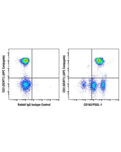 Cell Signaling CD162/PSGL-1 (F8D5X) Rabbit mAb 20 uL