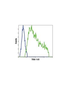 Cell Signaling Tra-1-81 (Tra-1-81) Mouse mAb