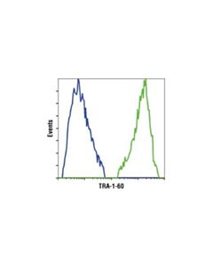 Cell Signaling Tra-1-60(S) (Tra-1-60(S)) Mouse mAb