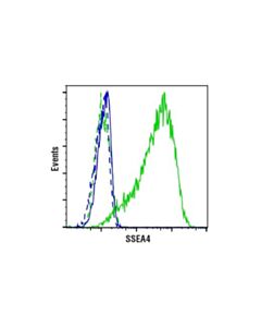 Cell Signaling Ssea4 (Mc813) Mouse mAb