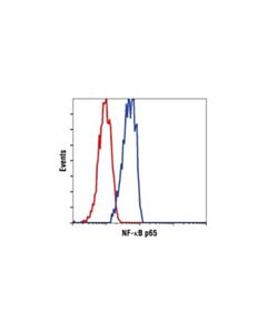 Cell Signaling Nf-Kappab P65 (C22b4) Rabbit mAb